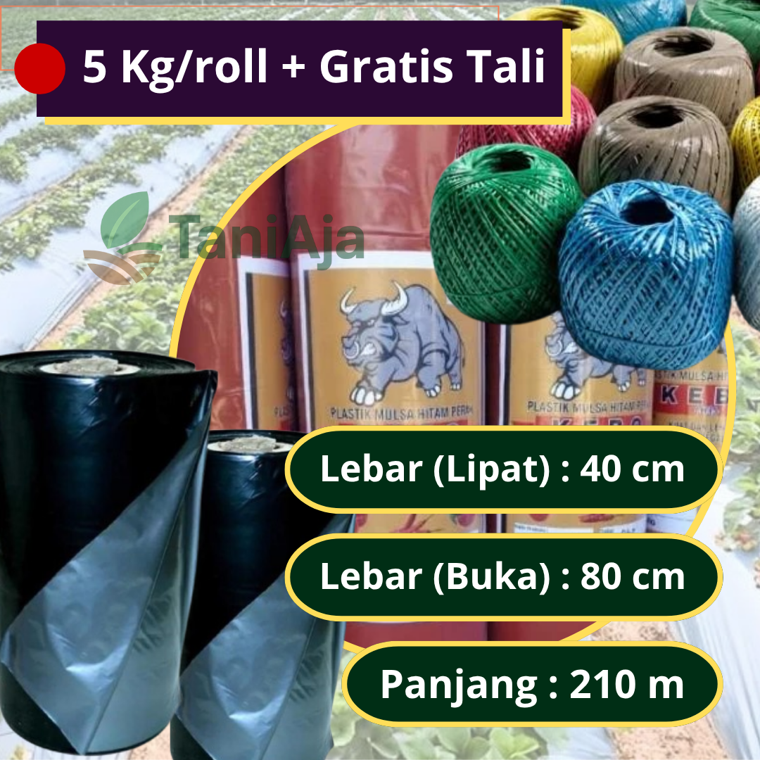 Plastik Mulsa Hitam Perak 5Kg Ukuran 50cm 100cm x 165m Bonus Rafia